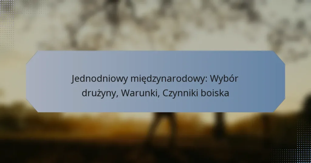 Jednodniowy międzynarodowy: Wybór drużyny, Warunki, Czynniki boiska