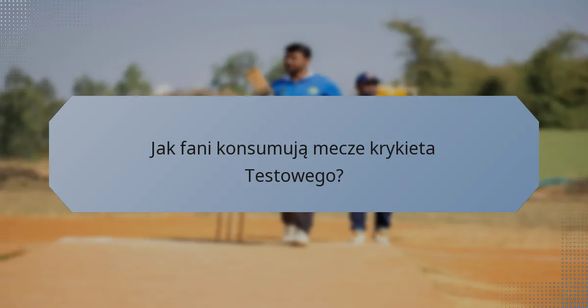 Jak fani konsumują mecze krykieta Testowego?