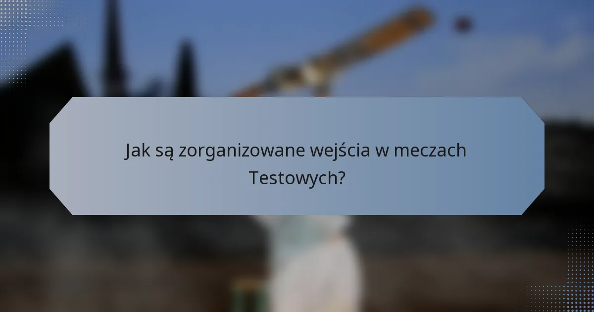 Jak są zorganizowane wejścia w meczach Testowych?