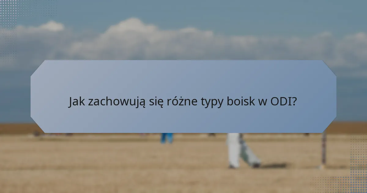 Jak zachowują się różne typy boisk w ODI?