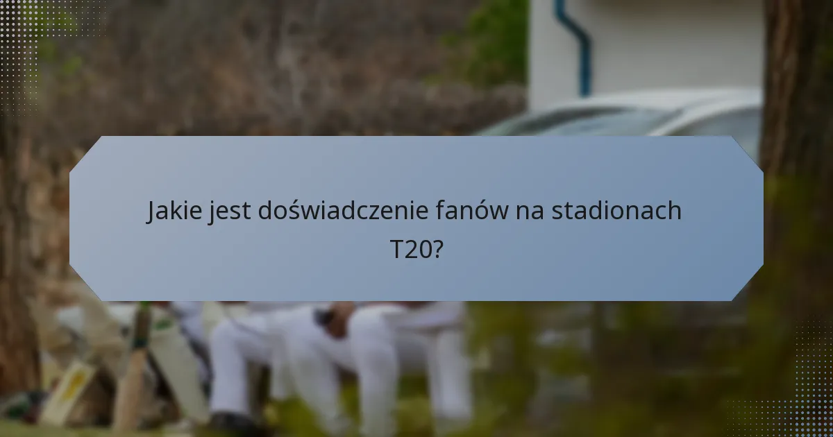 Jakie jest doświadczenie fanów na stadionach T20?