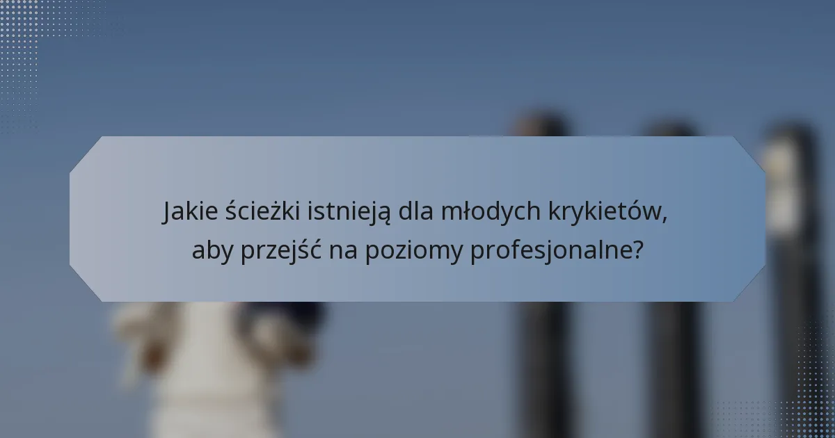 Jakie ścieżki istnieją dla młodych krykietów, aby przejść na poziomy profesjonalne?