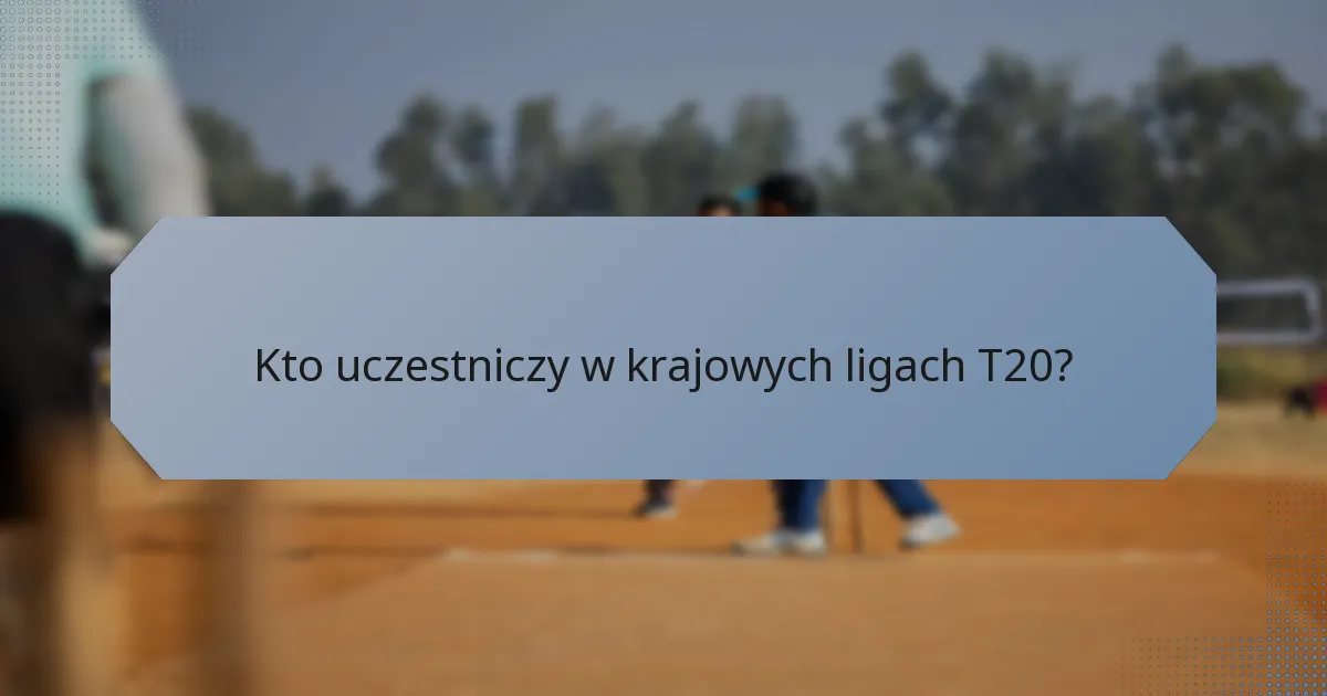 Kto uczestniczy w krajowych ligach T20?